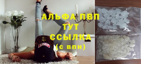 spice Гусев