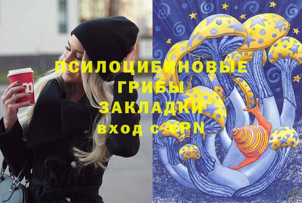 синтетический гашиш Гусиноозёрск