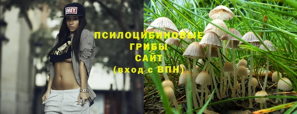 марки nbome Гусь-Хрустальный
