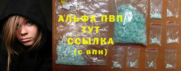 spice Гусев