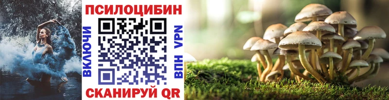 Купить  Ачхой-Мартан  Галлюциногенные грибы Psilocybe 