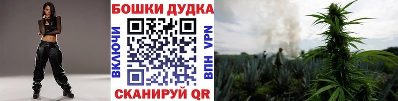Купить  Ачхой-Мартан  Каннабис OG Kush 